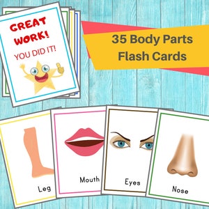 Body Part Flash Cards /36 Printable Flashcards / Toddler & Preschool Educational Materials / Perfect for Homeschool and Daycares