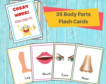 Body Part Flash Cards /36 Printable Flashcards / Toddler & Preschool Educational Materials / Perfect for Homeschool and Daycares