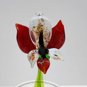 Red Glass Orchid - Hand Made In Ukraine - Murano Quality - Lampworking Technique - Red Orchid - Hand Made - Colored Glass - Fire - Red