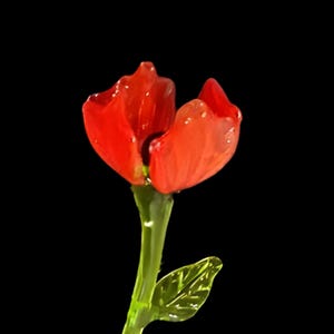 May include: A vibrant red flower with delicate petals, a green stem, and a single leaf against a black background. The flower appears to be made of glass or a similar material, with water droplets visible on the petals.