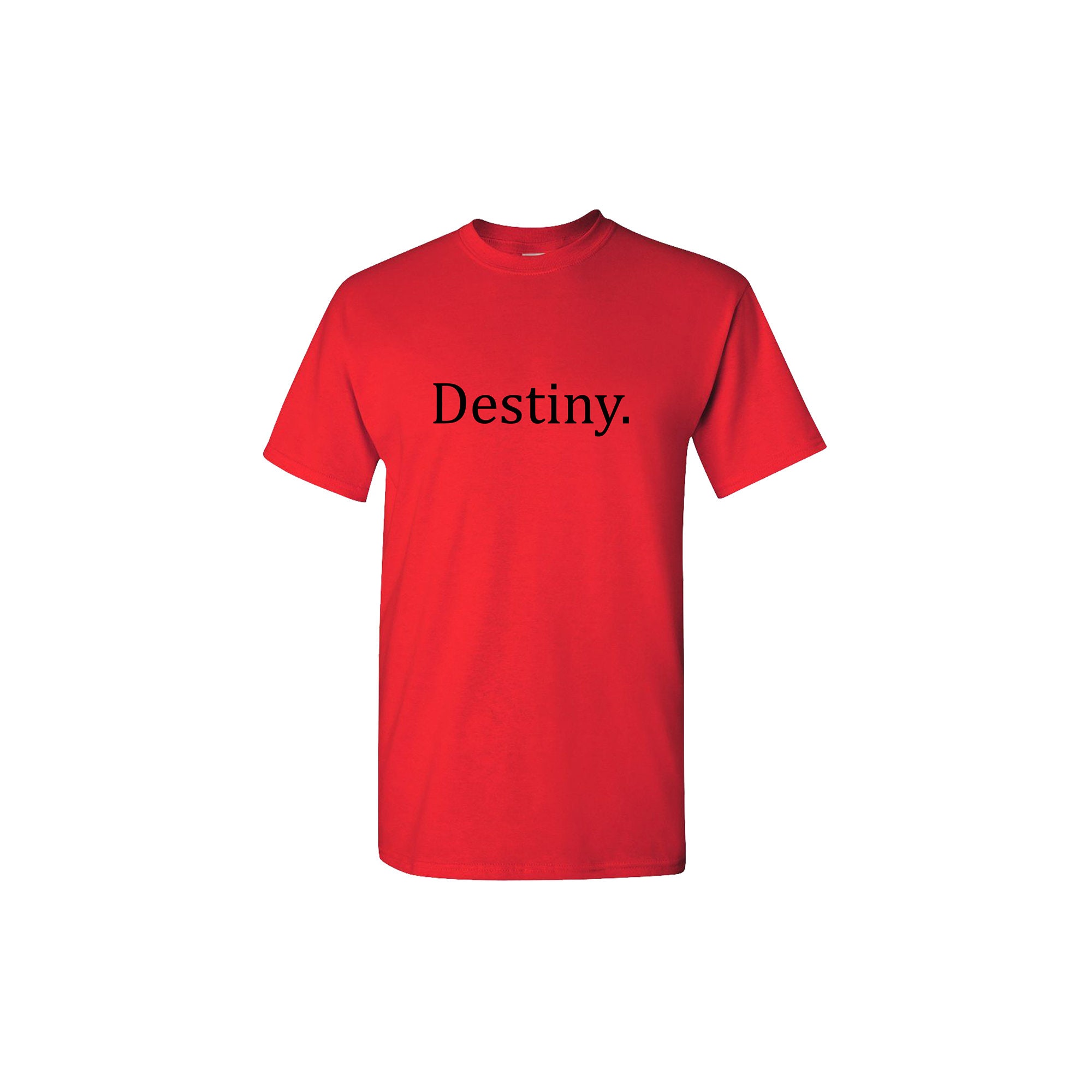 Hashtag Destiny Bold Text Tshirt Unisex Adult Destiny Shirt | Etsy