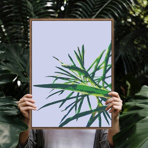 Asparagaceae Leaves Paint by Numbers Kit for Adults Beginners, Acrylic Painting Oil Paint on Floater Framed Canvas, DIY Paint by Numbers Set