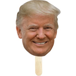 Figura de cartón de Donald Trump - Utilería para mítines electorales de 2024