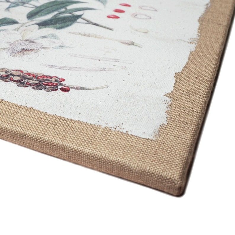 Set of 6 Ready to Hang French Vintage Botanical Artwork Prints on Burlap Canvas Wall Art Vintage Flower Illustration Home Decoration