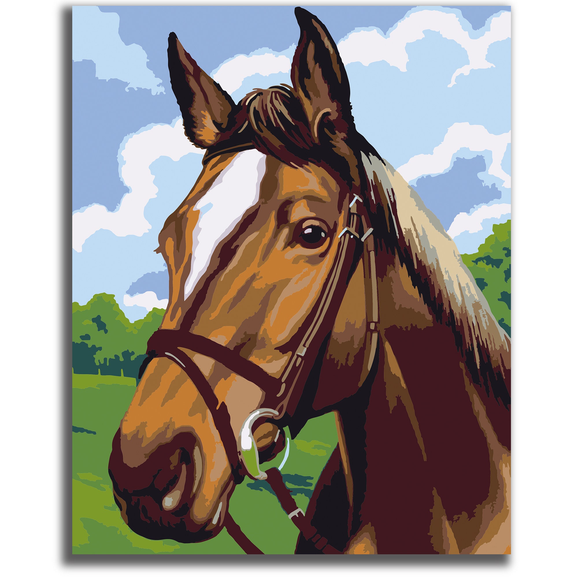 QAZWSX Horse Diamond Painting Art Kits for Adults and Kids, 5D Diamond Art  Black and White Horse Kits for Adults and Kids, Diamond Art Horse Kits for