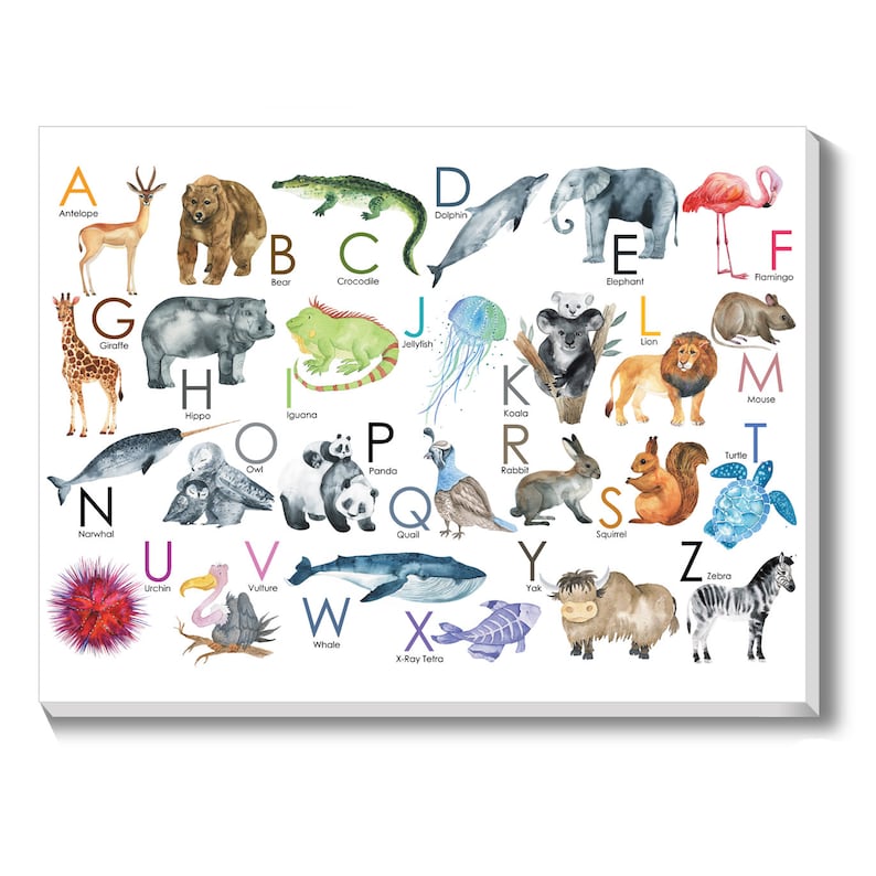 Kids Alphabet Letters with Pictures on Large Canvas Wall Art Zoo Animal ABC Kids Baby Toddlers Preschool Learning Educational Posters