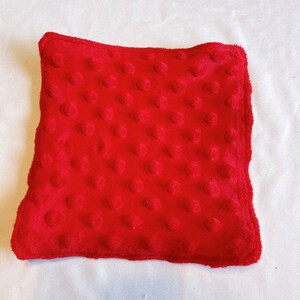 Red Dotted Minky Baby Wash Cloth | Baby shower gift | Mom to be | Bath time | Baby gift | minky wash cloth | baby wash cloth | baby