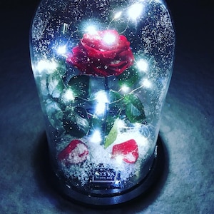 Froze Rose, Beauty and the Beast Rose, Forever Rose, Rose in Glass Dome, Enchanted Rose, Preserved Rose