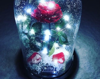Bevroren roos, schoonheid en het beest Roos, Forever Rose, Rose in Glass Dome, Enchanted Rose, Preserved Rose