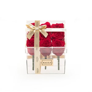 Preserved Roses in Acrylic Box, 9 stabilizuotos rožės akrilinėje dėžutėje