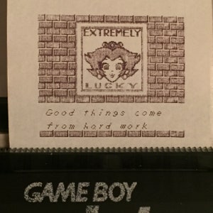 Super Mario Bros. Deluxe for Game Boy Color, Printable Photos with Game Boy Printer Extremely Lucky