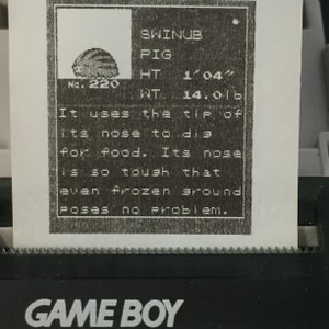May include: A black and white Game Boy screen displaying a Pokemon card for Swinub, a pig Pokemon. The card shows a picture of Swinub, its number 220, height 1'04", weight 14.0 lb, and a description of its abilities. The text reads: "It uses the tip of its nose to dig for food. Its nose is so tough that even frozen ground poses no problem."