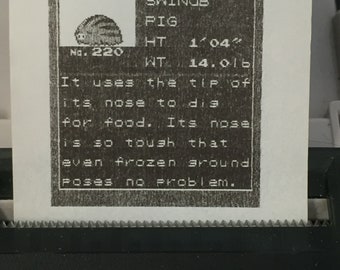 Pokédex Profiles (220-251, 1-11) from Generation 2 Pokemon - Gold, Silver, Crystal - Game Boy Color, Game Boy Printer (2/4)