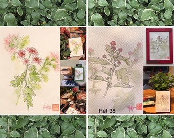 Choix d'aquarelles originales, les chrysanthèmes, petit format cartes postales, peinte à la main.