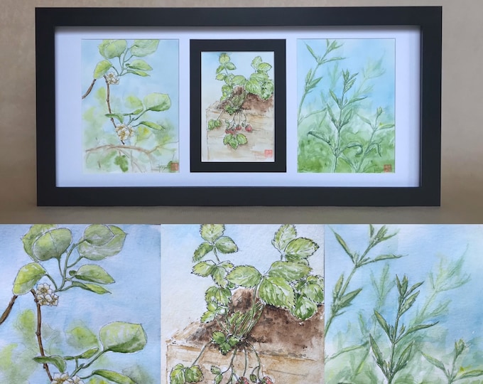 Triptych of original watercolors, the vegetable garden in spring. For Mother's Day, birthday or Valentine's Day.