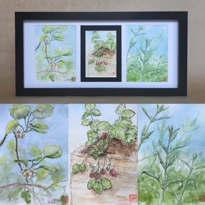 Triptyque d'aquarelles le jardin au printemps. Tableau original peint à la main encadré Pour fête des mères anniversaire ou saint valentin.