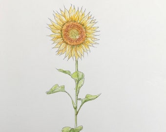 tournesol à l'aquarelle. tableau original peint à la main. Pour fête des mères anniversaire ou saint valentin.