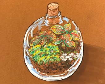 Peinture aux POSCAS Boule de verre et Fitonia. Tableau dessiné à la main.