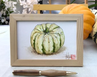 Tableau courge patidou à l’aquarelle Format carte postale. Peinte à la main encadrée