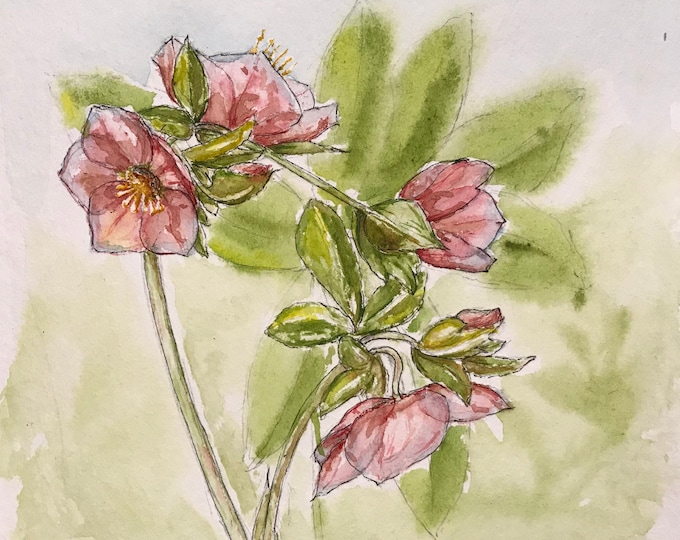 Original hand painted watercolor, Christmas roses. For Mother's Day, birthday or Valentine's Day.