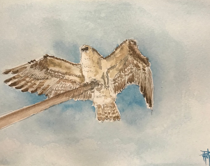 Aquarelle, l'aigle. Originale, peinte à la main