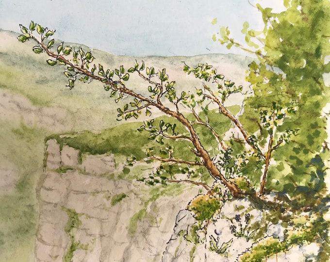 paysage Alpin peint à l’aquarelle. Tableau peint à la main. Encadré