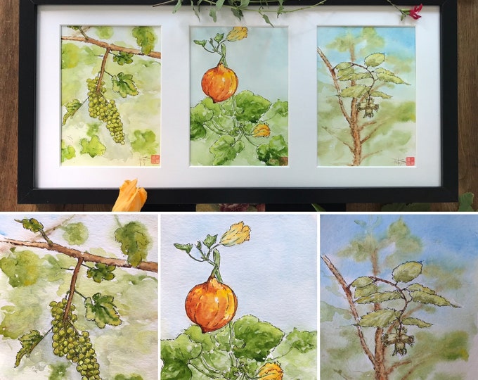 Triptyque d'aquarelles le potager automnale. Tableau Original peint à la main