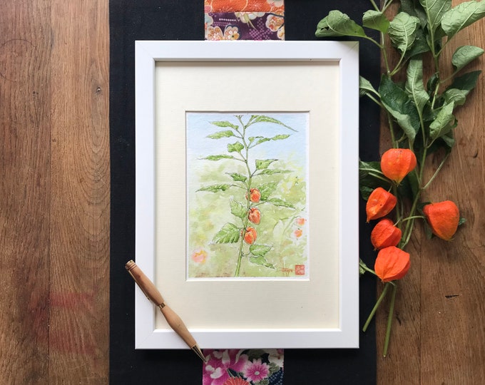 physalis du jardin à l’aquarelle. Tableau mural encadré peint à la main.