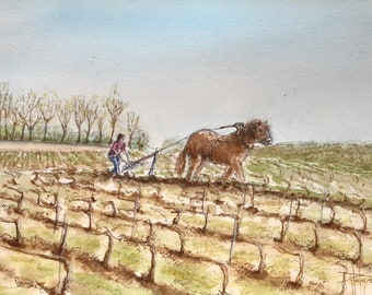 Watercolor plow horse in the Champagne vineyards. Original hand-painted painting.