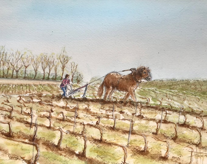 cheval de labour dans les vignes champenoises à l’aquarelle. Tableau original peint à la main encadré