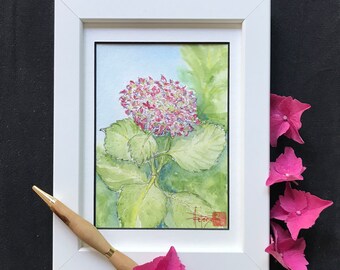 Hortensia rose à l’aquarelle. format carte postale. Tableau peint à la main