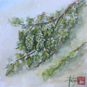 Carte Vigne  peinte à la main. Avec rabat en enveloppe