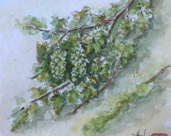 Vigne à l’aquarelle. Montage en carte Avec rabat et enveloppe
