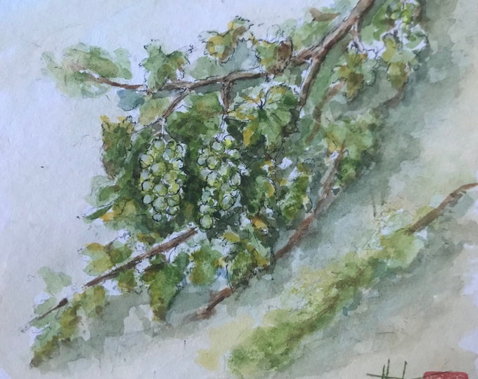 Vigne à l’aquarelle. Montage en carte Avec rabat et enveloppe
