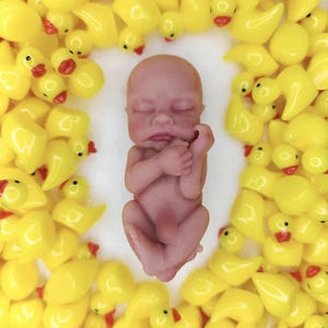 reborn baby silicone full, mini