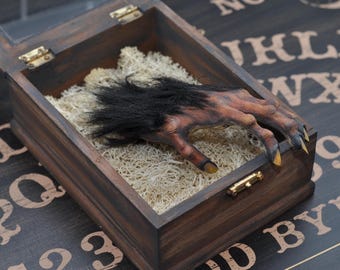Cursed Monkeys Paw- Schwarzes Fell- Künstliche Kuriositäten und Flüche