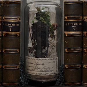 May include: A glass jar containing a preserved specimen labeled "Sprite" from Skye, Scotland, with a botanical arrangement. The jar is flanked by four antique books with gold lettering and trim, labeled "Goldsmith" and numbered 1-4.