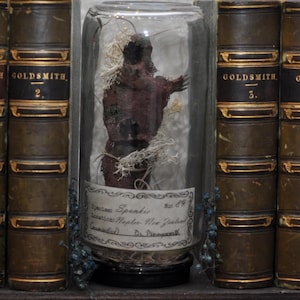 Puede incluir: Un espécimen conservado en un frasco de vidrio, con una etiqueta que dice "Spankir, Naples New Zealand". El espécimen es de color marrón rojizo oscuro, rodeado de materia vegetal seca. El frasco está flanqueado por libros antiguos con letras doradas.