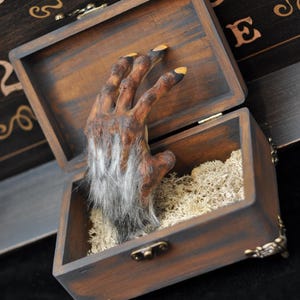 May include: A dark brown wooden box with metal corner accents and a latch, containing a textured, clawed hand with brown skin, grey fur, and yellow-tipped fingernails emerging from a bed of light-colored, dried moss inside the open container.