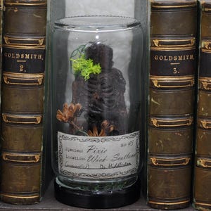 Könnte beinhalten: Ein Glasbehälter mit einer dunklen, skelettartigen Figur mit grünem Moos und getrockneten Blumen, beschriftet mit "Pixie, Wick-Scotland". Das Glas wird von antiken Büchern mit goldener Schrift und Nummerierung flankiert.
