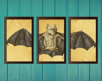 Indie Room Decor - Dark Academia - Macabre Decor - Bat Wall Decor - Vintage Digital Print Antique Illustration Wall Art