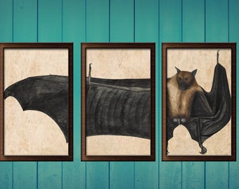 Indie Room Decor - Dark Academia - Macabre Decor - Bat Wall Decor - Vintage Digital Print Antique Illustration Wall Art