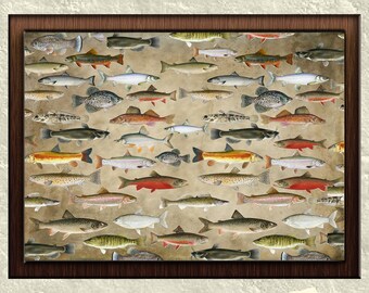 Fish JPG, PNG Files Reserved for Marie Blouin Includes Limited Commercial Use License