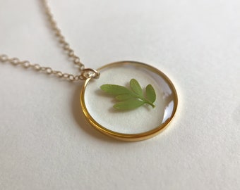 Hoja Prensada en Collar Botánico de Resina / Hoja de Rue en Resina