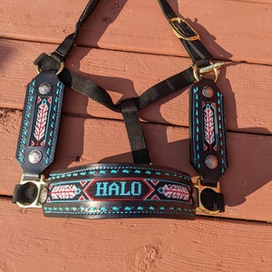 Personalized Custom Horse Halter