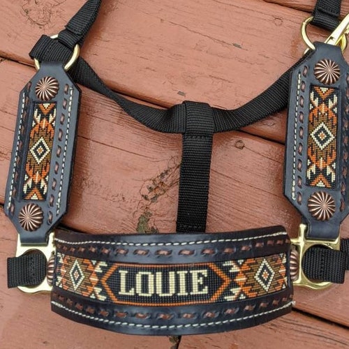 Custom Horse Halter Etsy