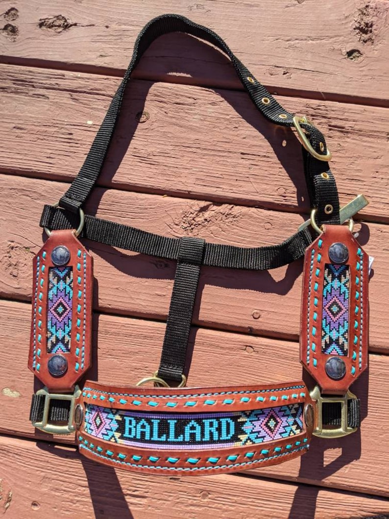 Custom Beaded Horse Halter Etsy