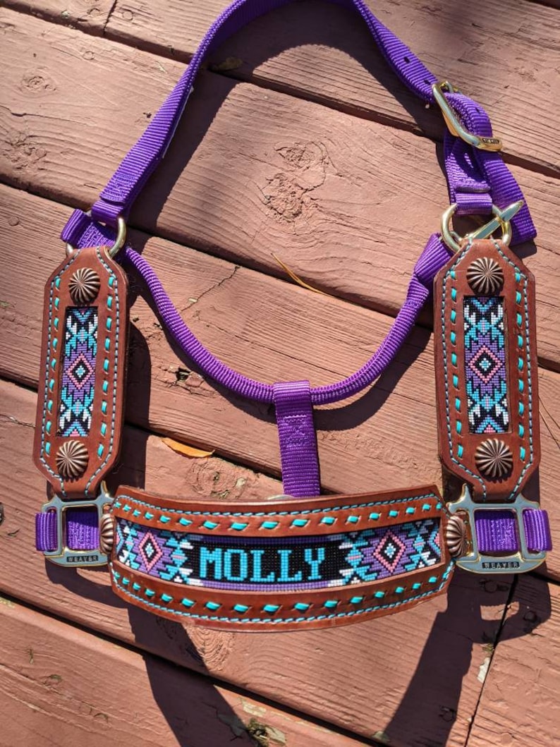 Custom Beaded Horse Halter Etsy