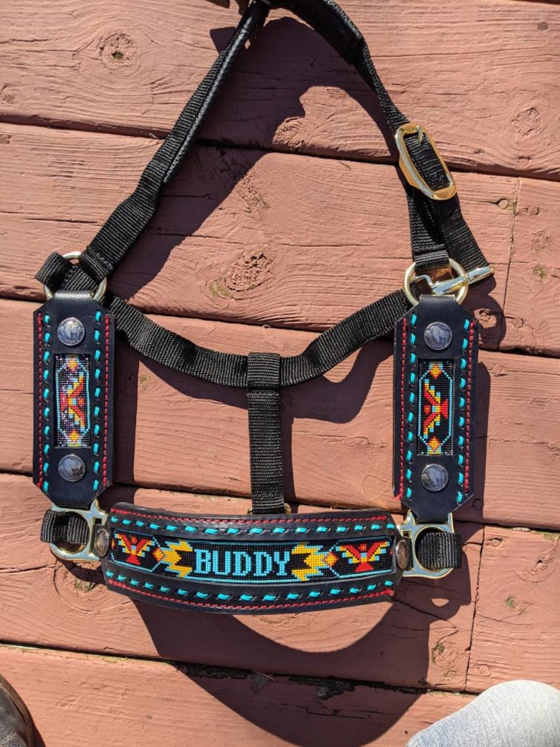 Horse Halters Equestrian Tack Beaded Horse Tack Custom Etsy