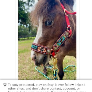Custom Beaded Horse Halter